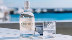 Vini Bianchi - Mastiha Skinos