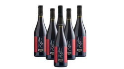 Vini Rossi - Offerta 6 bottiglie Refosco dal Peduncolo Rosso Friuli DOC