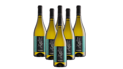 Vini in offerta - Offerta 6 bottiglie Friulano Friuli DOC