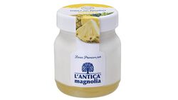 Yogurt e dessert - Yogurt della Valtellina Ananas