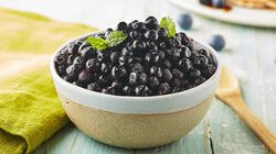 Biologico - Mirtilli di Bosco BIO