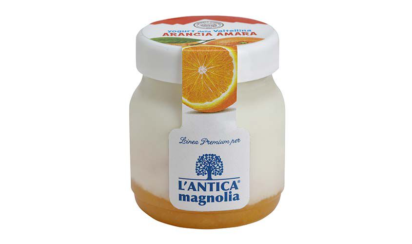 Yogurt e dessert - Yogurt della Valtellina Arancia