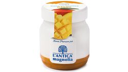 Yogurt e dessert - Yogurt della Valtellina Mango