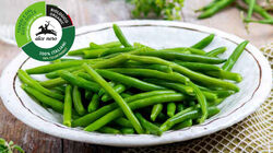 Biologico - Fagiolini BIO