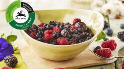 Biologico - Frutti di Bosco BIO