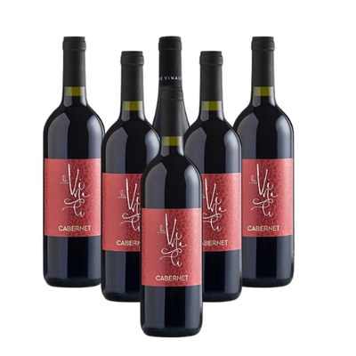 Vini in offerta - Offerta 6 Cabernet Trevenezie IGT