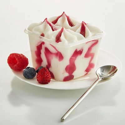 Promozione Mini Formati Gelato - "I CremosiniYogurt Frutti di Bosco