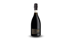 Vini Rossi - Nobil Duca Lambrusco Reggiano DOC