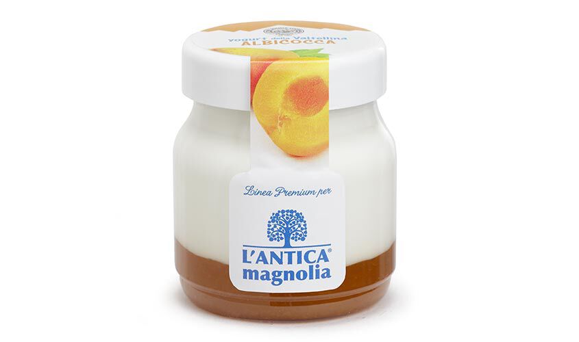 Yogurt e dessert - Yogurt della Valtellina Albicocca