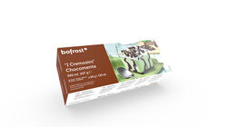 Promozione Mini Formati Gelato - I Cremosini Chocomenta