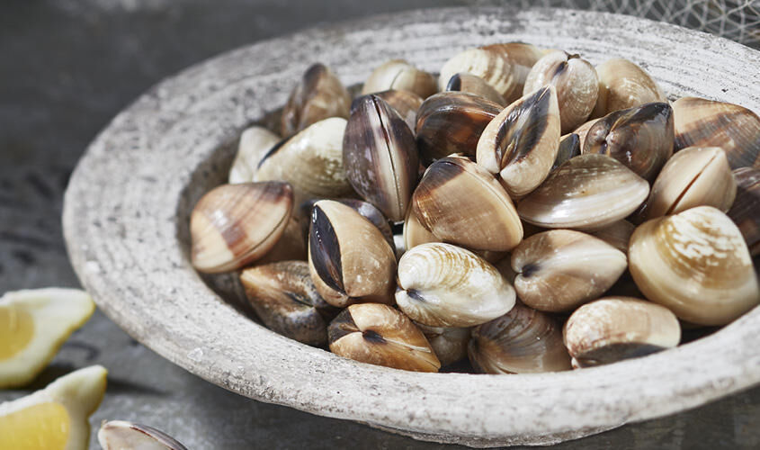 Specialit&agrave; di pesce su prenotazione - VONGOLE DEL PACIFICO
