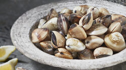 Specialit&agrave; di pesce su prenotazione - VONGOLE DEL PACIFICO