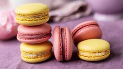 Torte e Dessert - Sc. 20% Macarons Limone e Lampone bClub