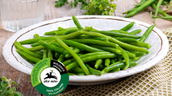 Biologico - Fagiolini BIO
