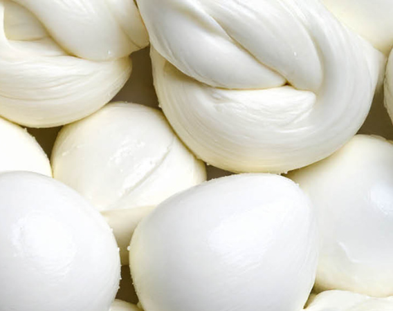 La freschezza sulla tua tavola