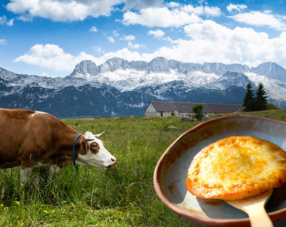 Il Frico di Montasio DOP, capolavoro della tradizione culinaria friulana