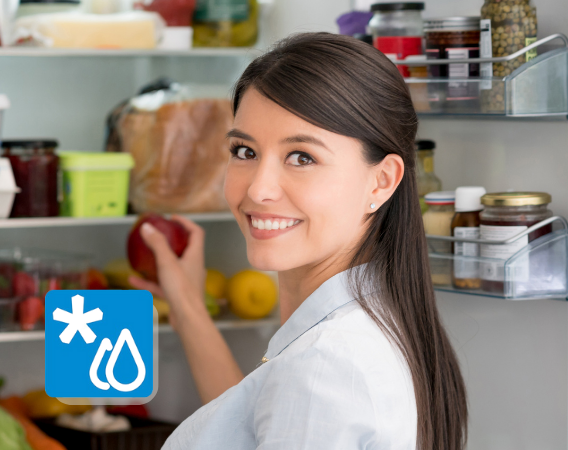 La bontà sempre disponibile bofrost